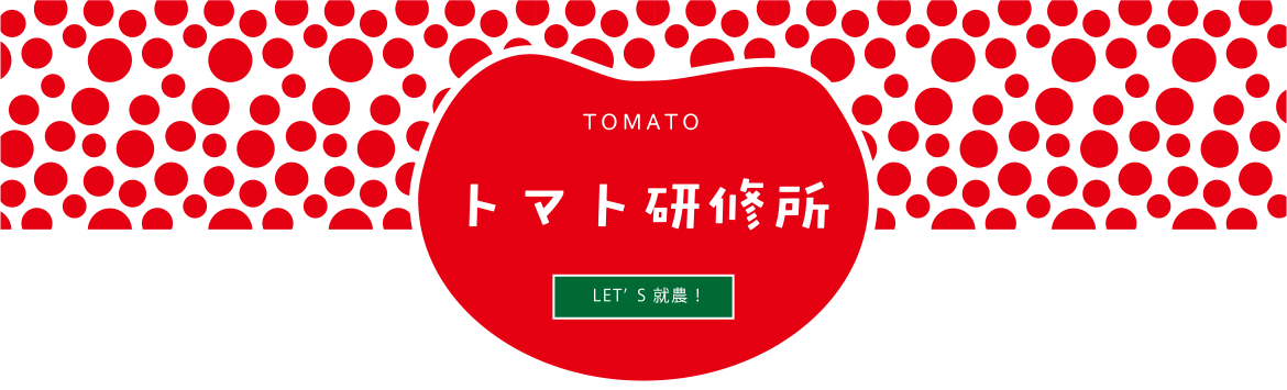 トマト研修所