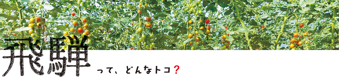 飛騨って、どんなトコ？