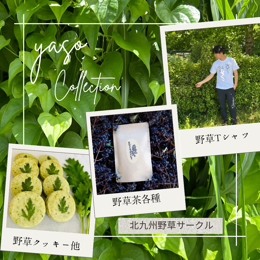 IMG_4364.png