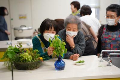 春の生春巻きづくり